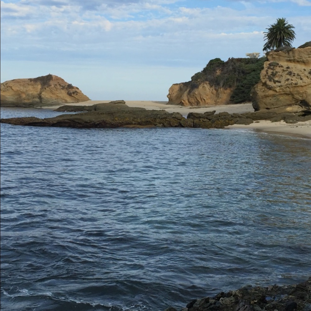 Meet your Posher, Sean